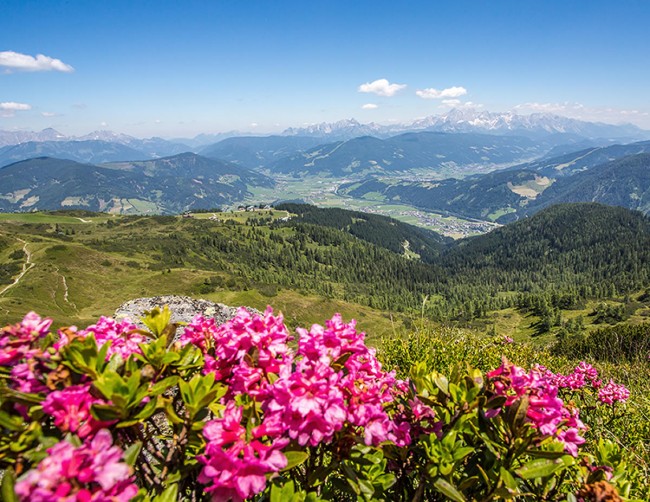 Flachautal im Sommer © Flachau Tourismus